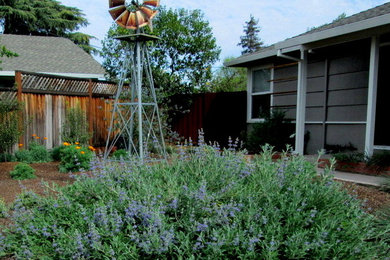 Small country front yard full sun xeriscape in San Francisco with a garden path and mulch for spring.