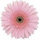 webuser_86287
