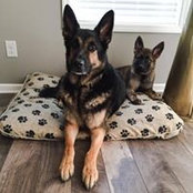 Annie Lundell's photo