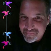 Warren Grays foto