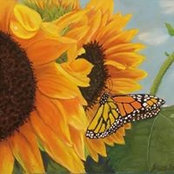 Jenny Pollett's photo