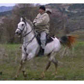 Foto von Ali Bolat