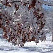 Michele Dombrowski's photo