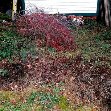 JARRETT FAMILY HISTORIC HOME BEFORE & AFTER