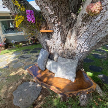 100 Year Old Tree Bench