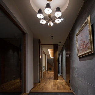 他の地域のミッドセンチュリースタイルのおしゃれな玄関の写真