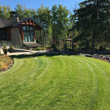 Average Maintenance (High profile client)