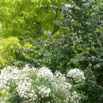 CREATION D'UNE ROSERAIRE