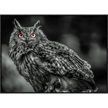 "Wise Owl 3 black & white" by European Master Photography, 31"x23"