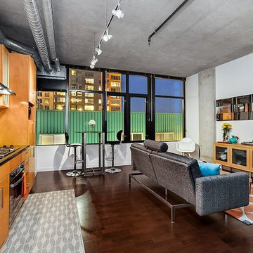 Mosler Lofts