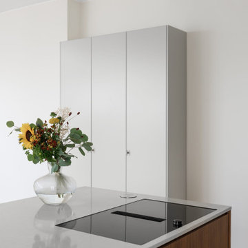 Carol's REBEL Grey Kitchen | Chicago, IL