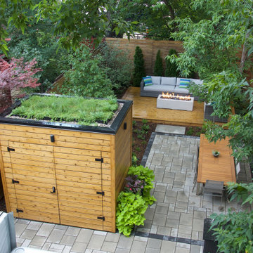 Multi-Use Urban Backyard