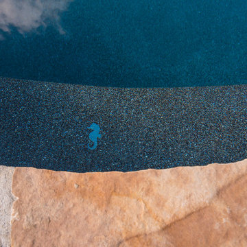 Freeform Pool in Libertyville, IL