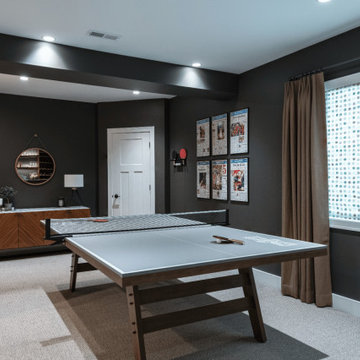 Warm Modern Whole-House Remodel in Hawthorn Woods, IL