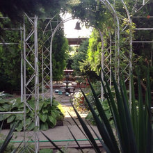 nkunda53