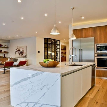 New Construction Modern Home- Los Gatos, CA