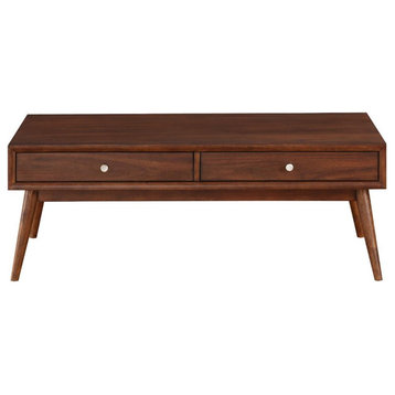 Lexicon Frolic Wood 2 Drawer Coffee Table in Brown