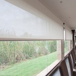 Roller Shades - Roller Shades