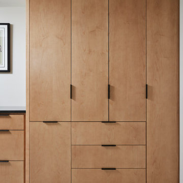 From Vintage to Vibrant: a Mid-Century Modern Revival