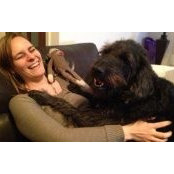 Sarah Frew's photo