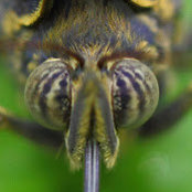 rich m's photo