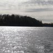 Lauren Plews's photo
