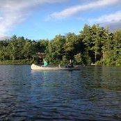 Lesley Nesbitt's photo