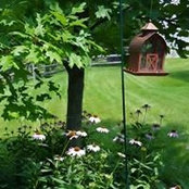 Kim Woodrum's photo