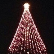 Dana Anderson's photo