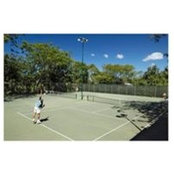 Olivier Van Houte's photo