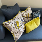 Tracey Foley's photo