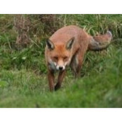 John Armentano's photo