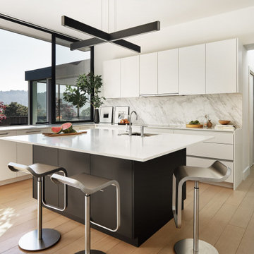 Stunning Mid-Century modern renno