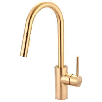 Motegi Single Handle Pull-Down Kitchen Faucet, Brushed Gold