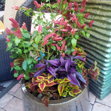 Colorful Containers