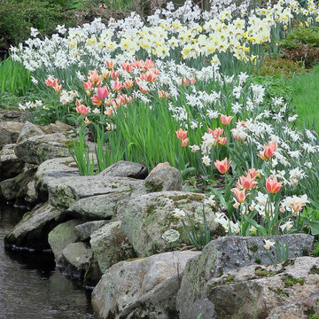 Riparian Retreat - Southport, CT