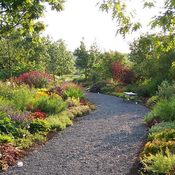 Deer Resistant Garden