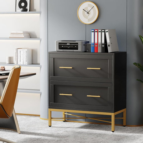 Tribesigns Office File Cabinet Modern Filing Cabinet, Black