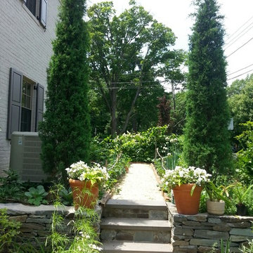 View through the Vegetable garden.