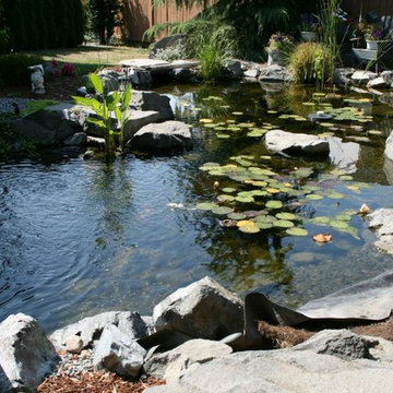 Ponds/ Watergardens