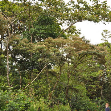Costa Rica Travel