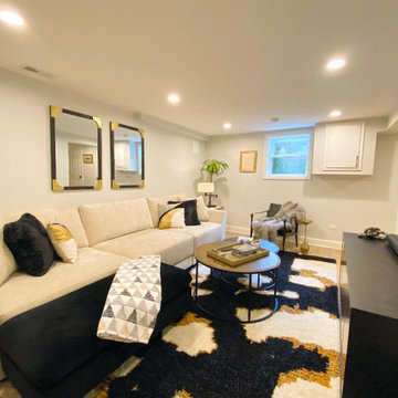 Basement Remodel