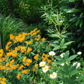 Side Yard Garden Design & Build