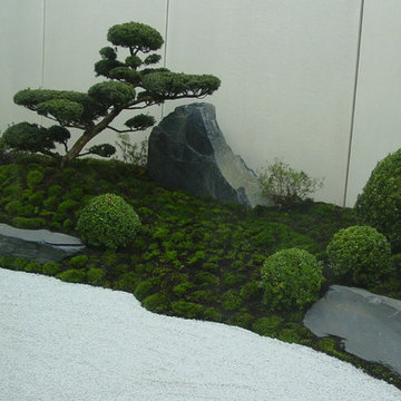 mossgarden in a patio