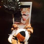 Annie Chang's photo