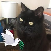Sharon Patterson's photo
