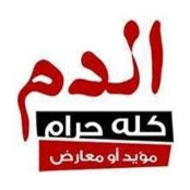 Moez Doraid's photo