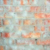 Alicia DeVries's photo