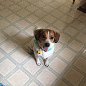 Beverly Chapman's photo