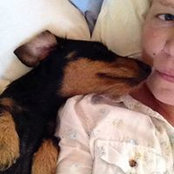 Gunilla Danielssons billede